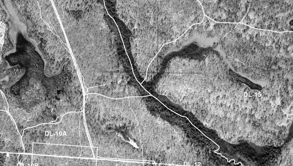 An aerial photo of the area surrounding Camp Creek. The dark areas are dense with trees, and in the grey open areas, you can make out individual trees. This open habitat became overgrown and woodier as fire was excluded from the landscape.