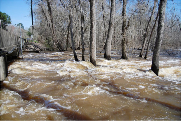 Water overflows from the Ochlockonee River on February 27, 2013.