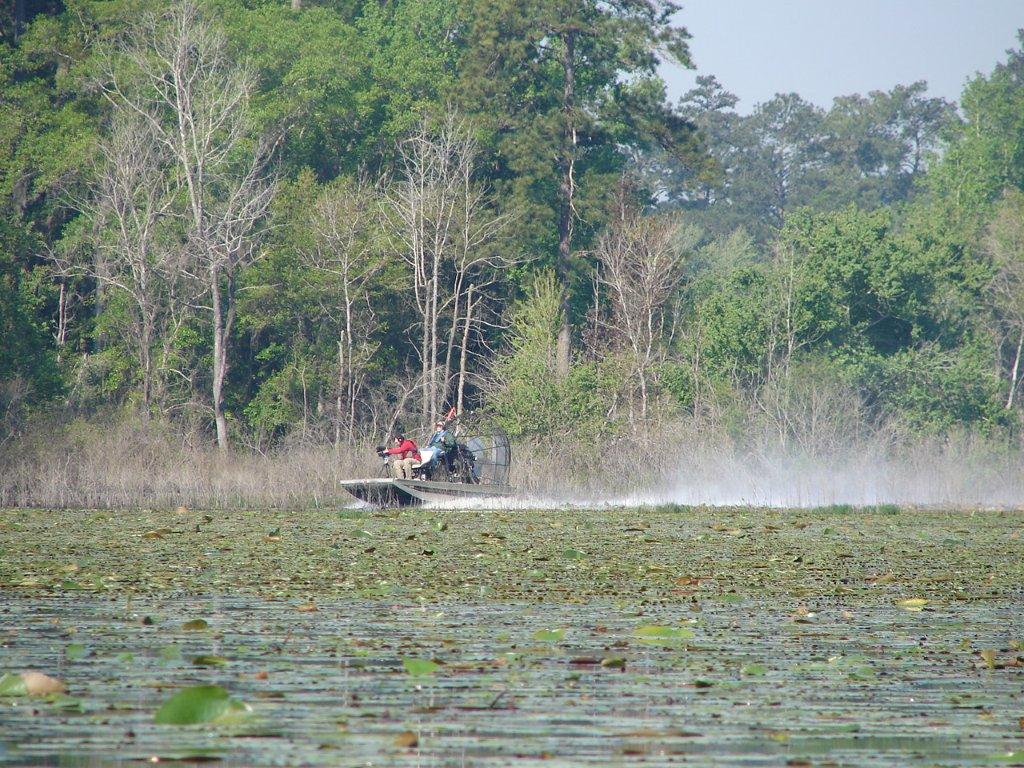 Florida Fish & Wildlife's Michael Hill takes me out on Lake Iamonia near tall Timbers Research Station.