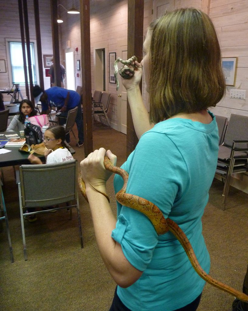 Tall Timbers herpetologist Kim Sash holds a rat snake in one hand, and a corn snake in the other.