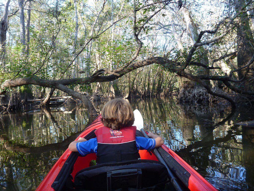 Kayaking through Devin Creek, which branches off of Owl Creek.