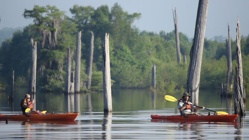 Kayaking the Dead Lakes in 2014.