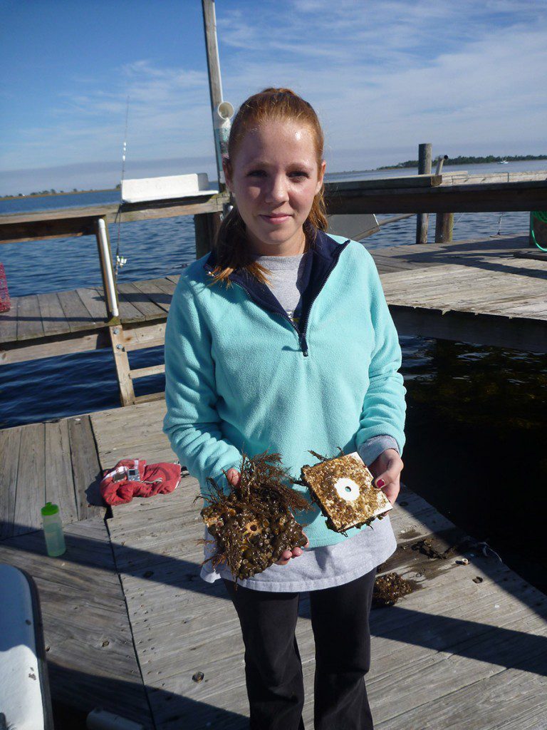 Chloe Jackson is an honors biology student at Florida State University. She interned at the Gulf Specimen Lab over the summer, and is currently using their dock for an experiment using recruitment tiles (which should look somewhat familiar for those of you who've been following In the Grass, On the Reef over the last few years).