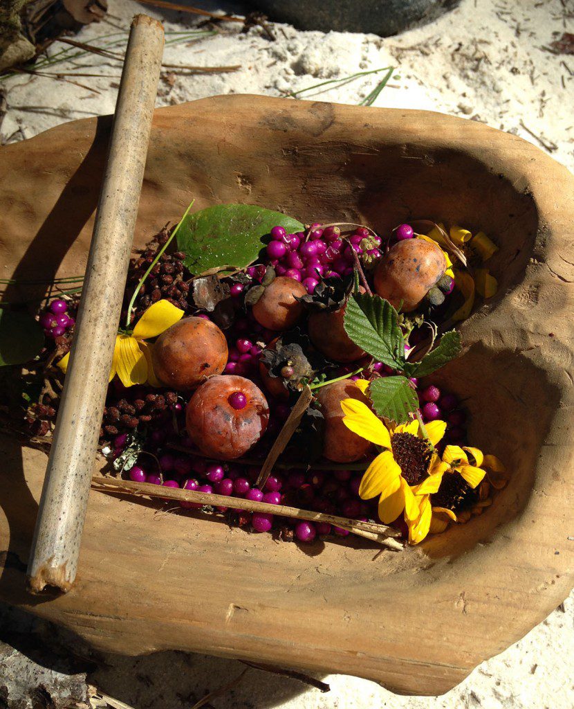 As we walked down from Tall Timbers to Lake Iamonia, this is what Colbert collected. The bright purple beauty berries are attractive and nearly flavorless. The duller colored berries are sumac. When we shot this in really November, they were slightly out of season. The persimmons were not quite ripe. Our local variety is intensely bitter until it ripens. As Colbert was making his medicinal tea, we realized that we had no cups or straws, so Colbert fashioned this straw from a bamboo stalk and we all sipped straight from the teapot.
