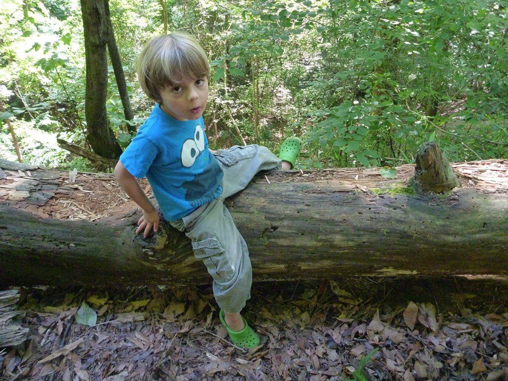 Four year old on log separating camp site from ravine at Torreya State Park.