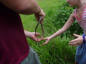 George Boggs hands his nine-year-old daughter, Amelia, a snake.