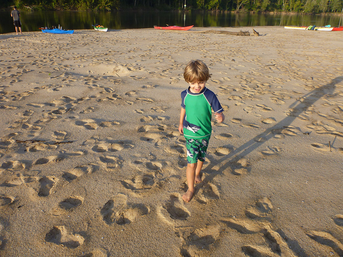 The Apalachicola River has many sand bars on which to camp and play. To a four-year-old (and, to be honest, his dad), every one is a new world to explore. Fluctuating water levels have forced RiverTrek paddlers to change campsites in every year following 2012's drought.