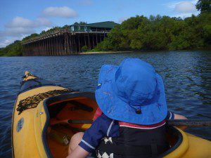 Kayaking by the Jackson County Port Authority on the Apalachicola River with my son Max.