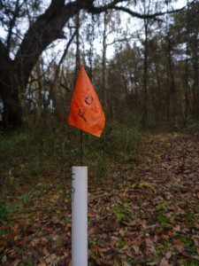 This PVC pole marks one of 500 post holes dug by Panhandle Archeological Society at Tallahassee volunteers in Wakulla Springs State Park.
