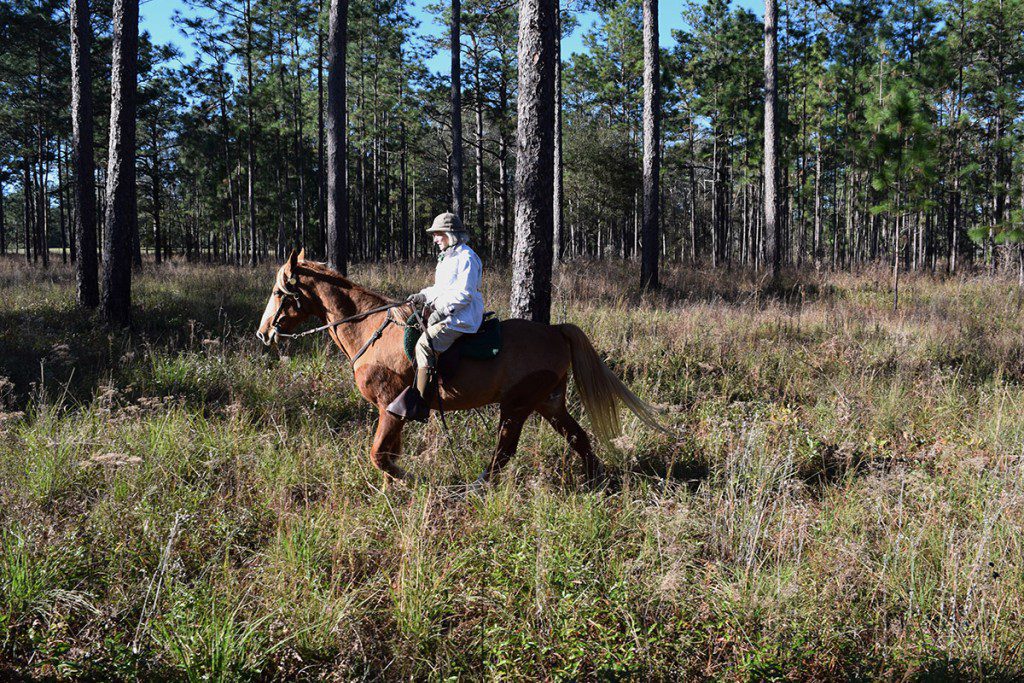 Jean Chapin on her Tennessee Walker. Photo by Georgia Ackerman.