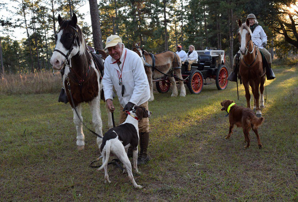 Charles Chapin III with his bird dogs on Elsoma Plantation. Photo by Georgia Ackerman.