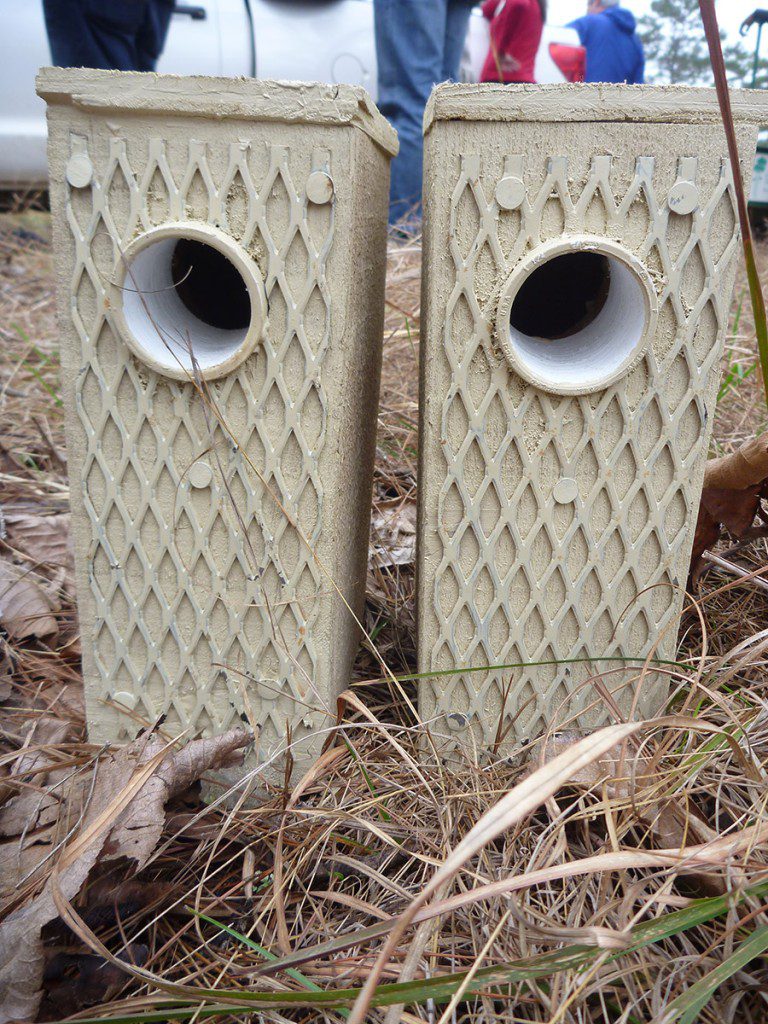 Artificial red cockaded woodpecker cavities. Where longleaf forests lack mature trees, these boxes can provide more nesting places for the birds, and facilitate more breeding.