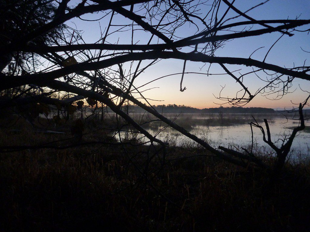 Pre-dawn Lake Iamonia.