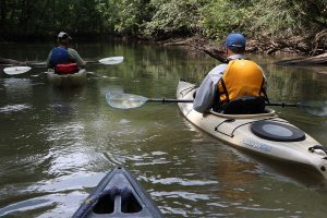 Two kayaks make their way down the Upper Chipola River.