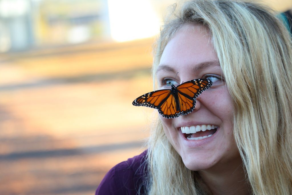 Monarch butterfly sits on a volunteer's nose at the Saint Marks Refuge.