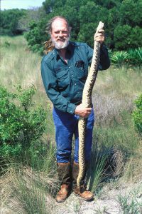 Dr. Bruce Means holds a large eastern diamondback rattlesnake.
