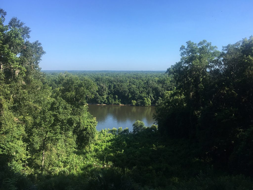 The palachicola River, as seen from the Gregory House, Torreya State Park.