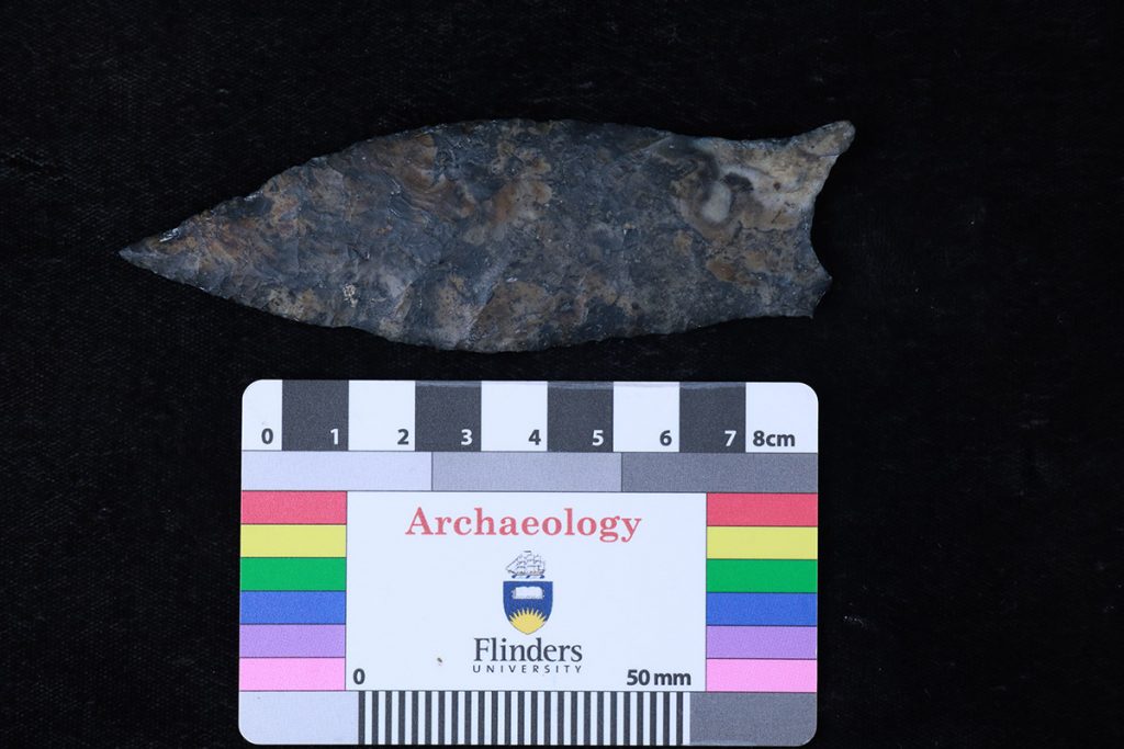Suwannee projectile point found at the Ryan-Harley site, lower Wacissa River.
