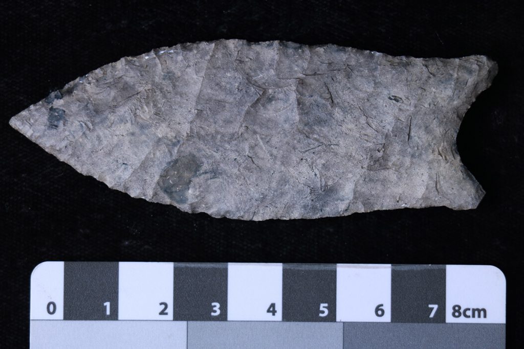 Suwannee projectile point found at the Ryan-Harley site, lower Wacissa River.