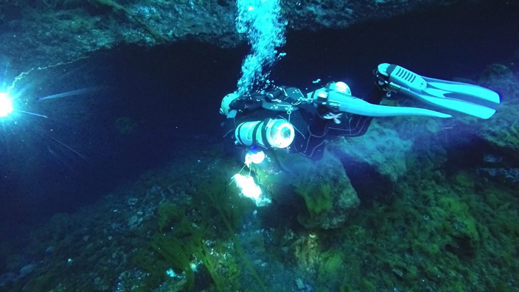 Morgan Smith enters a cavern at the head spring of the Silver River. Image Courtesy Matt Vincent, Karst Underwater Research.
