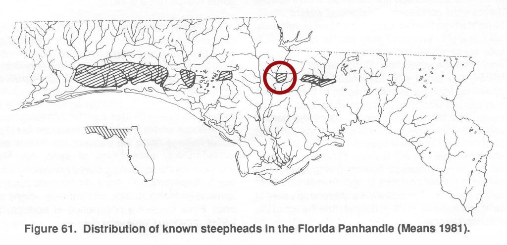 A map showing the distribution of steephead ravines in north Florida.