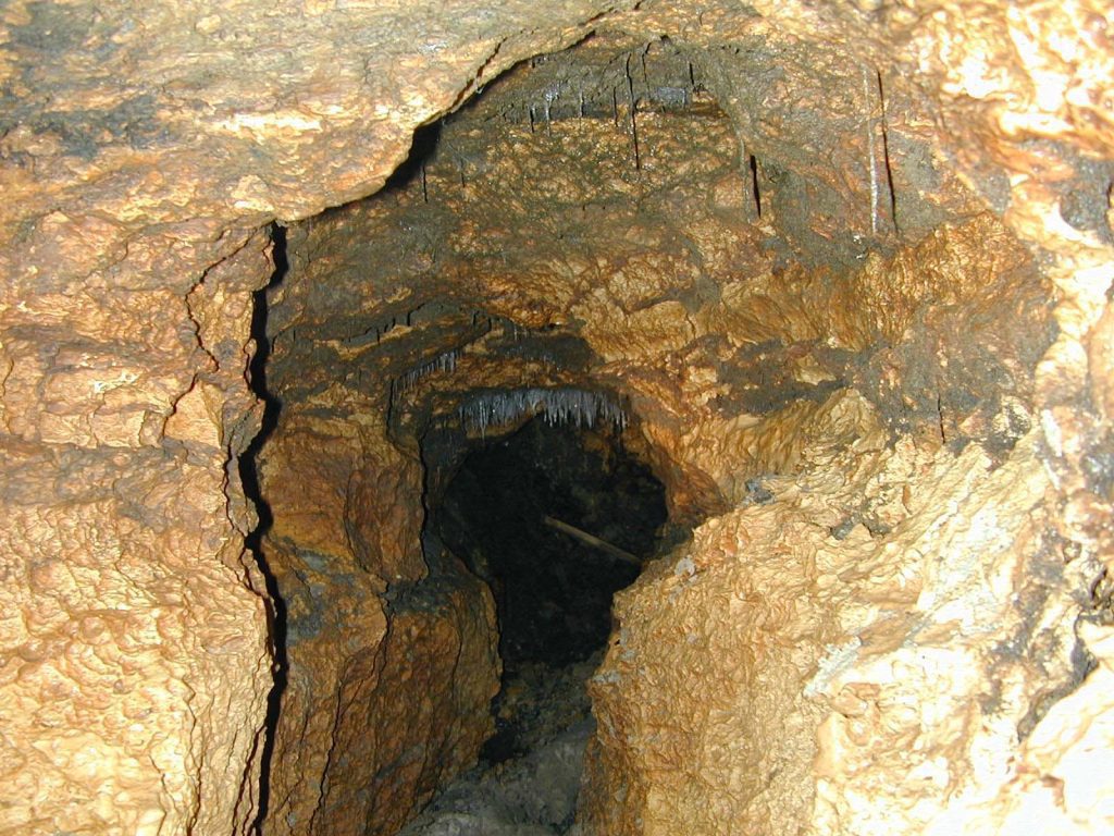 A cave within Porter Sink, the main sinkhole in Tallahassee's Lake Jackson.