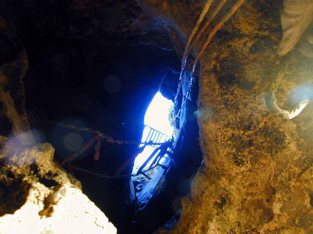 The view looking up out of Porter sink, Lake Jackson's main sinkhole . Photo courtesy Florida Geological Survey.