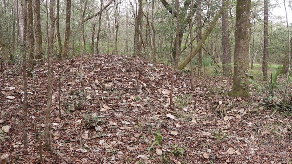 Weeden Island burial mound at Byrd Hammock.
