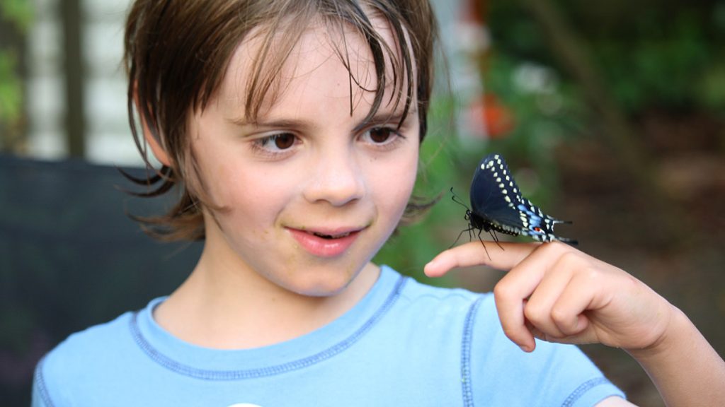 Max, aged 7, with a black swallowtail butterfly perched on his finger.