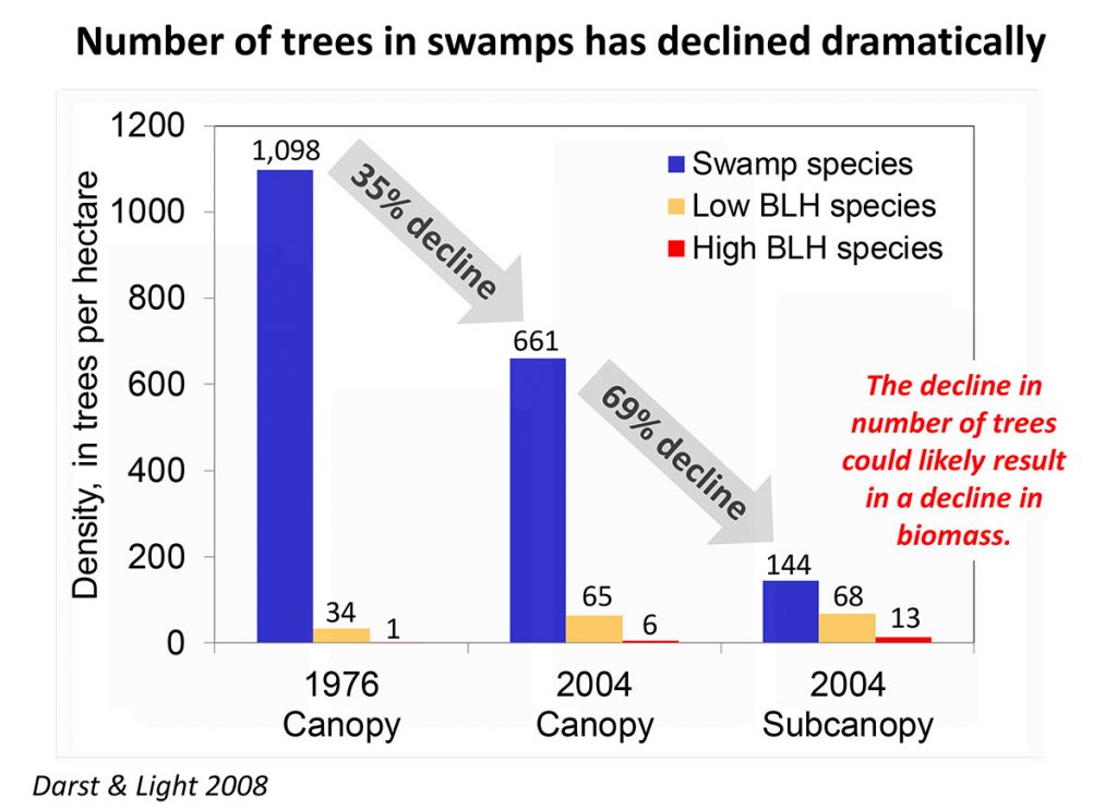 Overall loss f trees in the Apalachicola swamp canopy and subcanopy. Courtesy Helen Light.