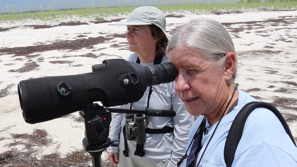 Florida Audubon's Bonnie Samuelson looks through a scope as Lorraine Margeson looks on.