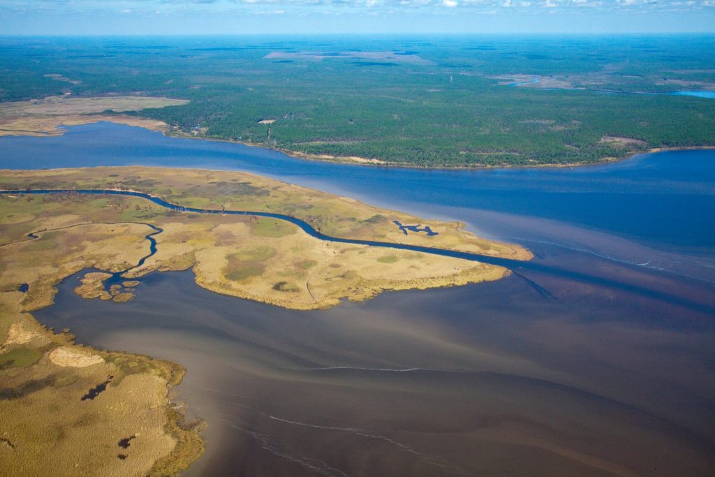 An aerial view of marshes in the Apalachicola River delta. Photo by Hurricane Creekkeeper John Wathen.