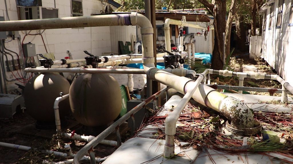 Pumps and pipes fill a small yard- the life support system of the Gulf Specimen Marine Lab.