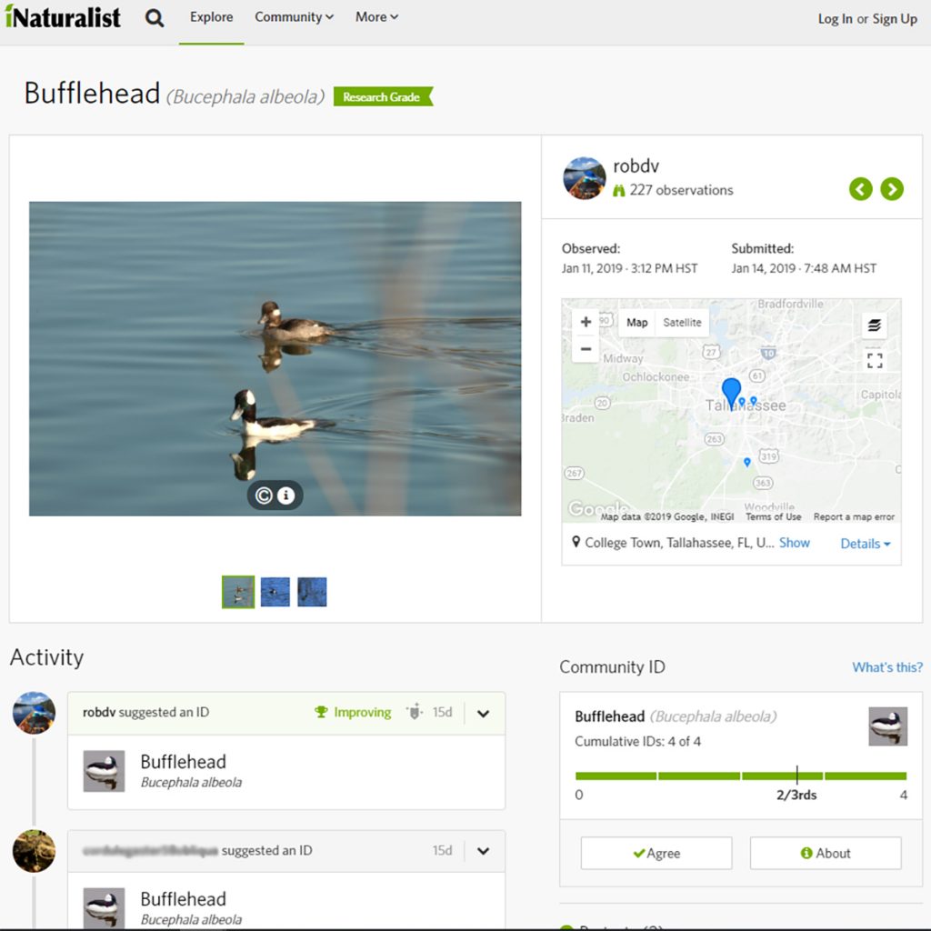 Screenshot of iNaturalist, a Citizen Science app