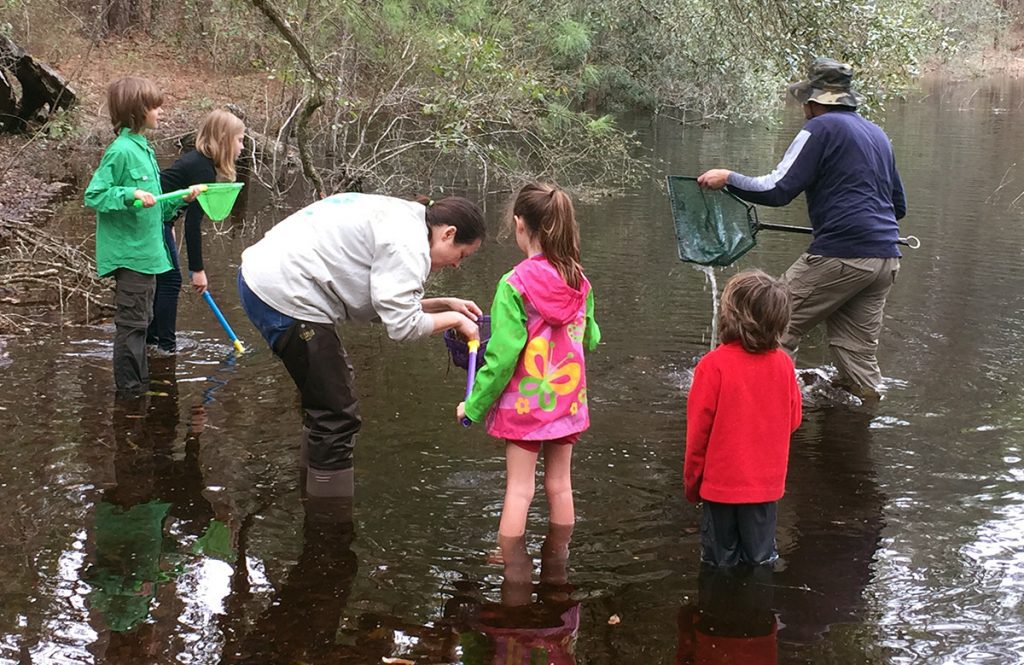 Parents and children sample an ephemeral wetland in the aApalachicola National Forest.