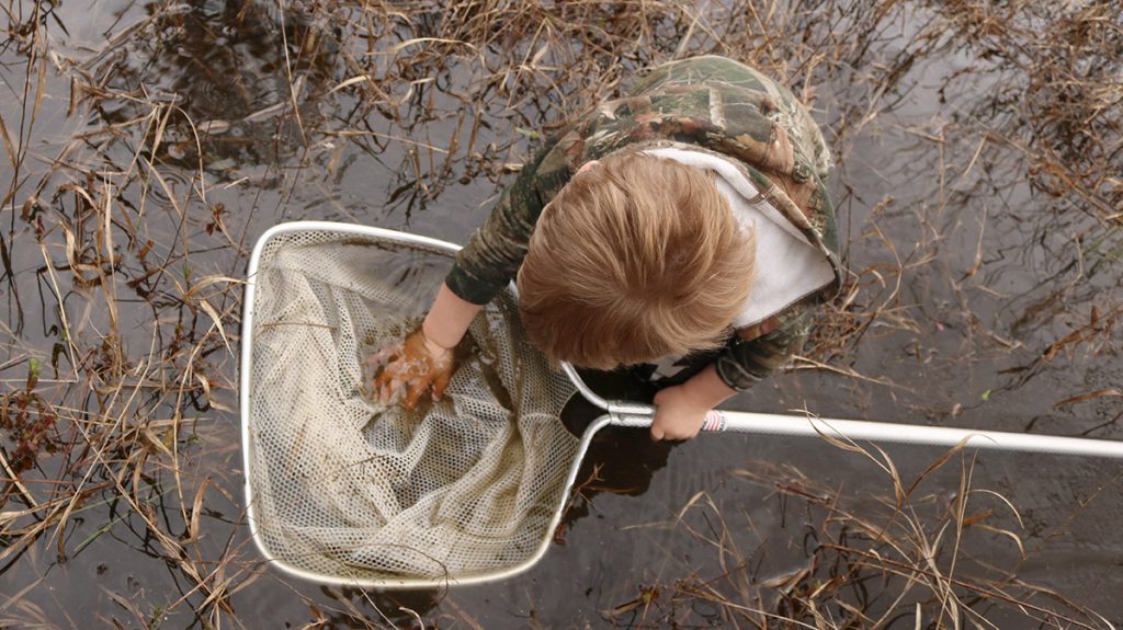 A young citizen scientist searches for amphibian larvae in an ephemeral wetland south of Tallahassee.