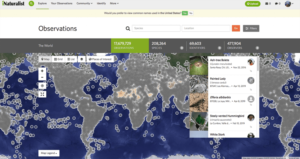 A map depicting every iNaturalist observation in the world.