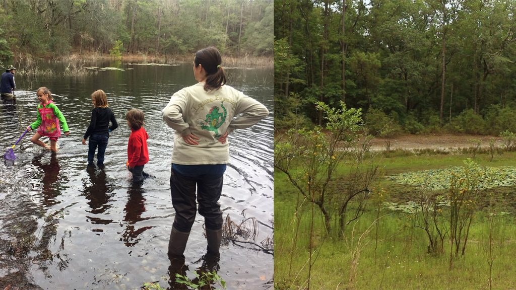 Two images. On the left,children and adults dipnetting a flooded wetland in February 2019. On the right, the wetland's water level is much lower in June of 2018.