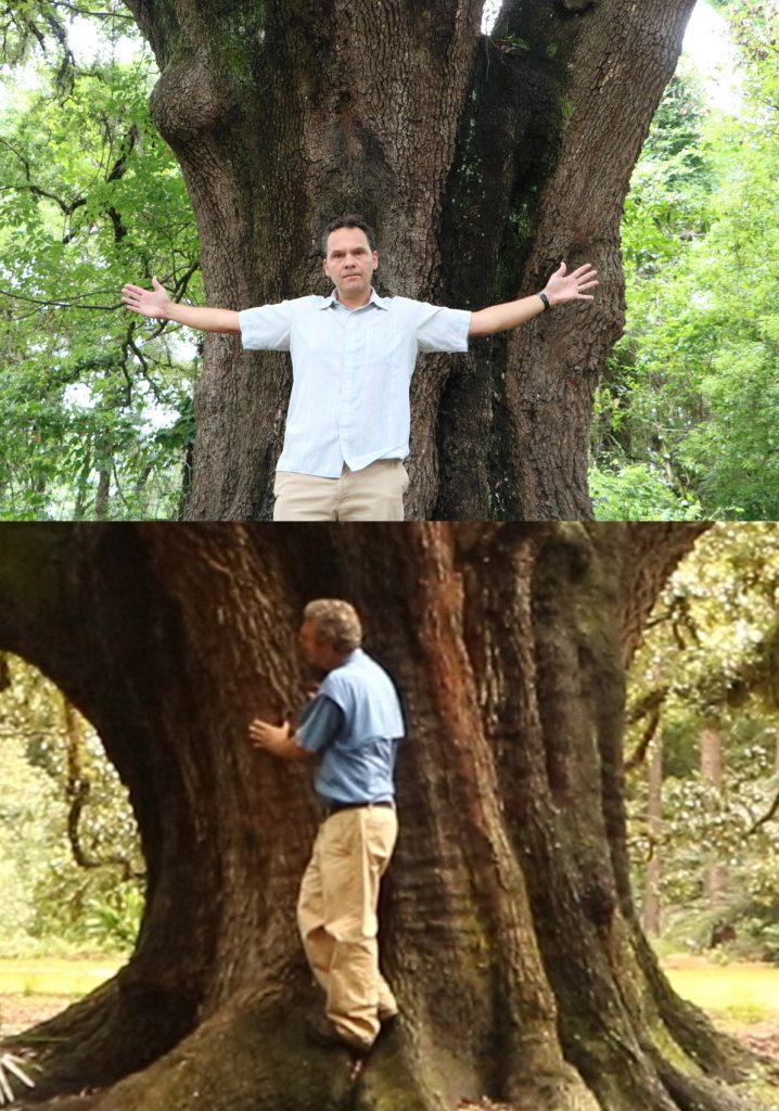 Top: Jonathan Lammers at the Benton oak (Photo by Ryan Dailey).  Bottom: Stan Rosenthal inspects a cicada on the Lichgate Oak.
