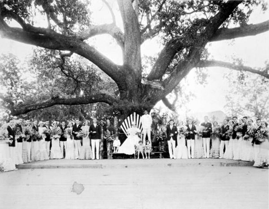 Dorothy Phillips is crowned May Queen in 1934, beneath Tallahassee's May Oak.