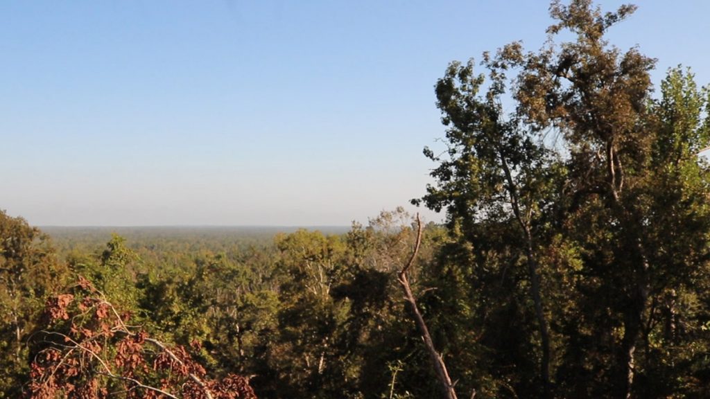 The view from a new overlook on the Torreya State Park campsite.