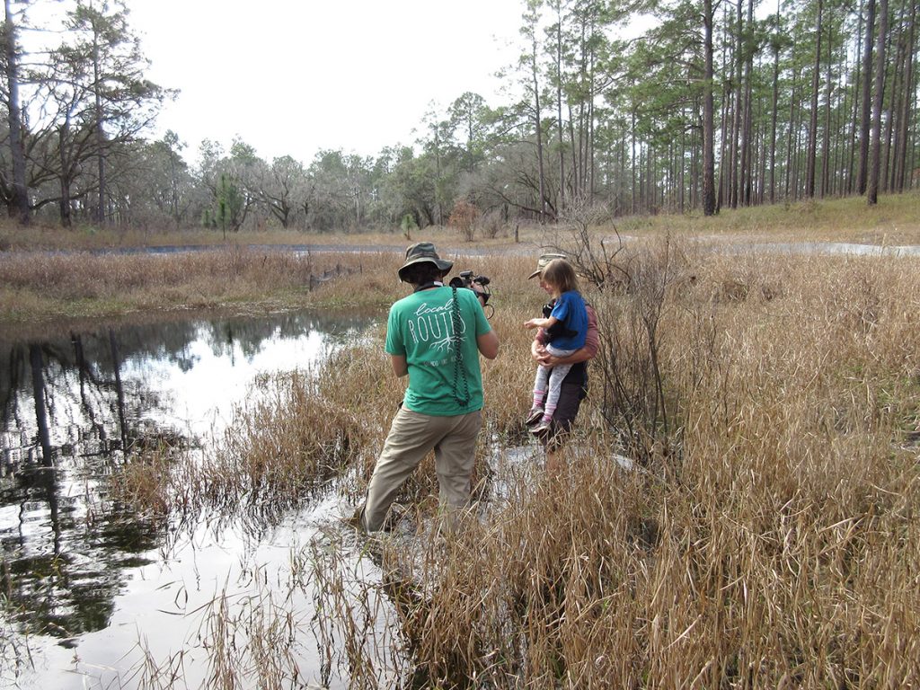 WFSU Producer Rob Diaz de Villegas shoots video of Ryan and Skyla Means deposit striped newts into an ephemeral wetland.