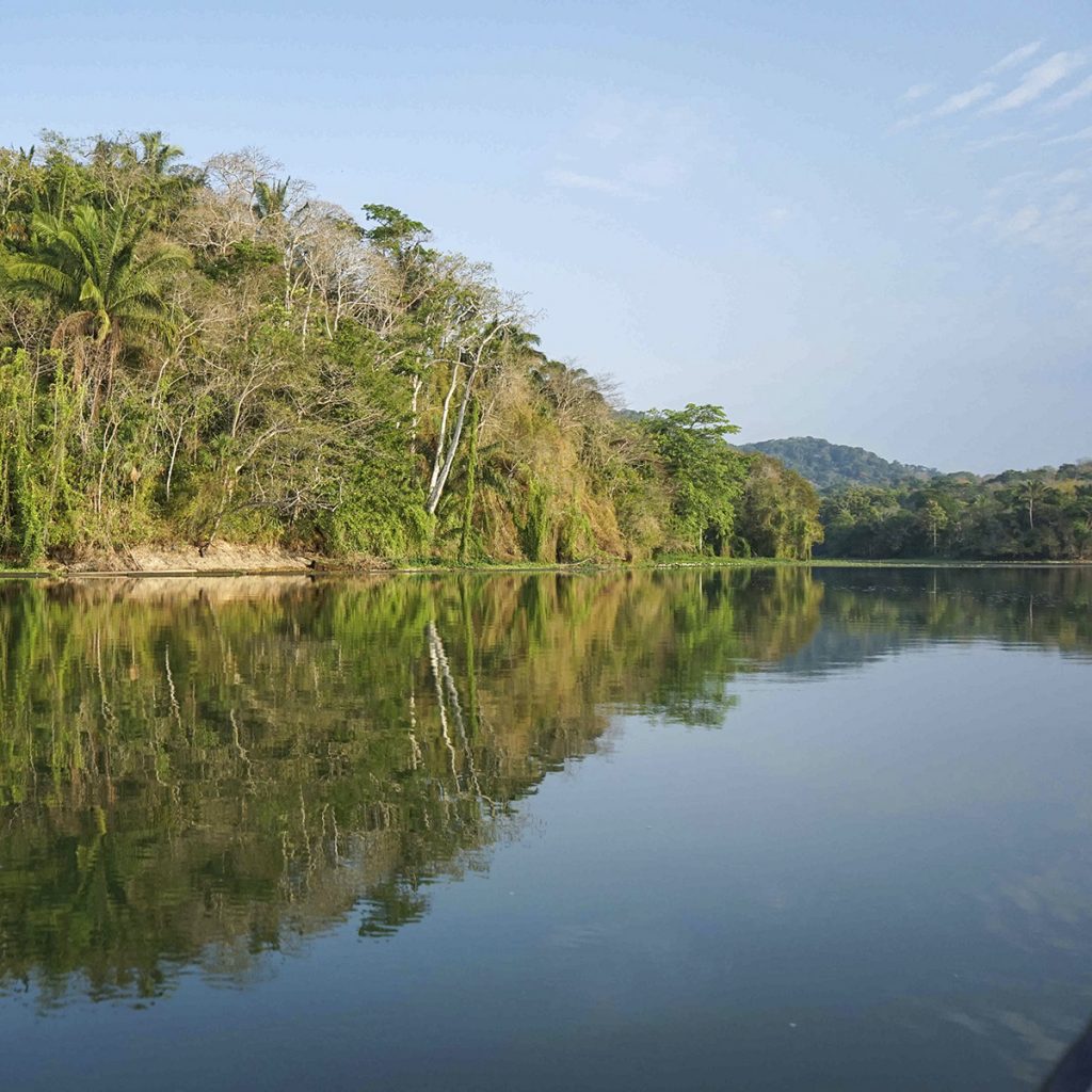 The Chagres River Panama is the lifeblood of the world's greatest trade corridor - the Panama Canal. But this water only continues to flow thanks to the discovery of the secret role of the forest which is now a National Park.