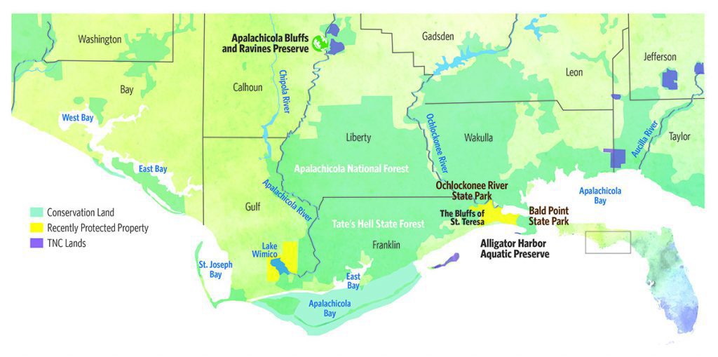A map of connected conservation lands in the Florida panhandle.  Image provided by The Nature Conservancy in Florida.