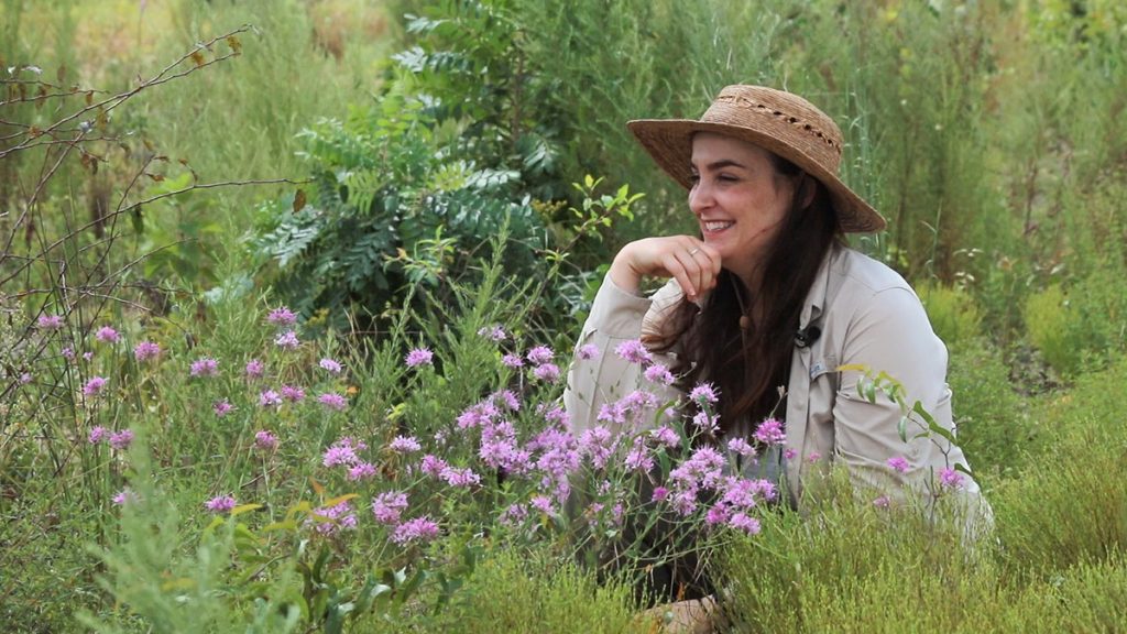 Lilly Anderson-Messec sits among grasses and wildflowers (including sessileleaf warea) in Torreya State Park.
