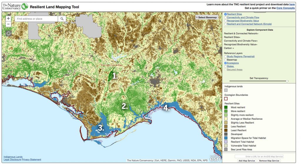 The Nature Conservancy's Resilient Land mapping Tool, focus on north Florida.