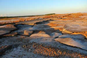 Road damage at Saint George Island State Park after Hurricane Michael. Image provided by Doug Alderson.