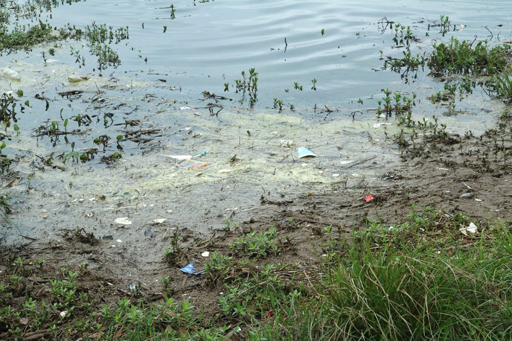 Garbage on the shore of Lake Elberta.