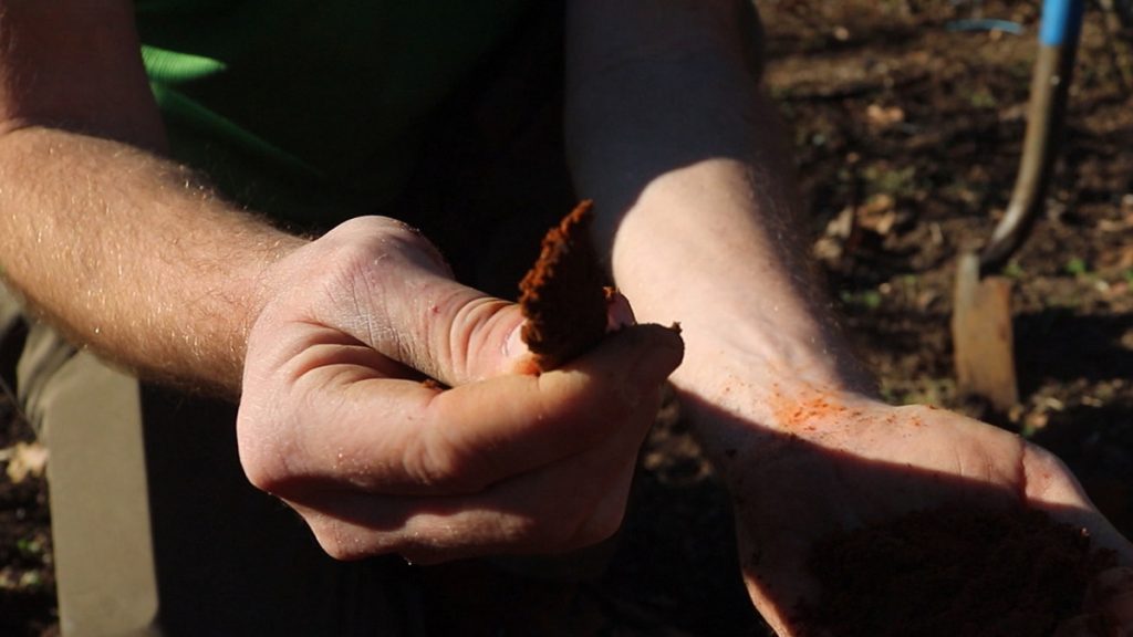 Mark Tancig makes a "ribbon" of Orangeburg soil.