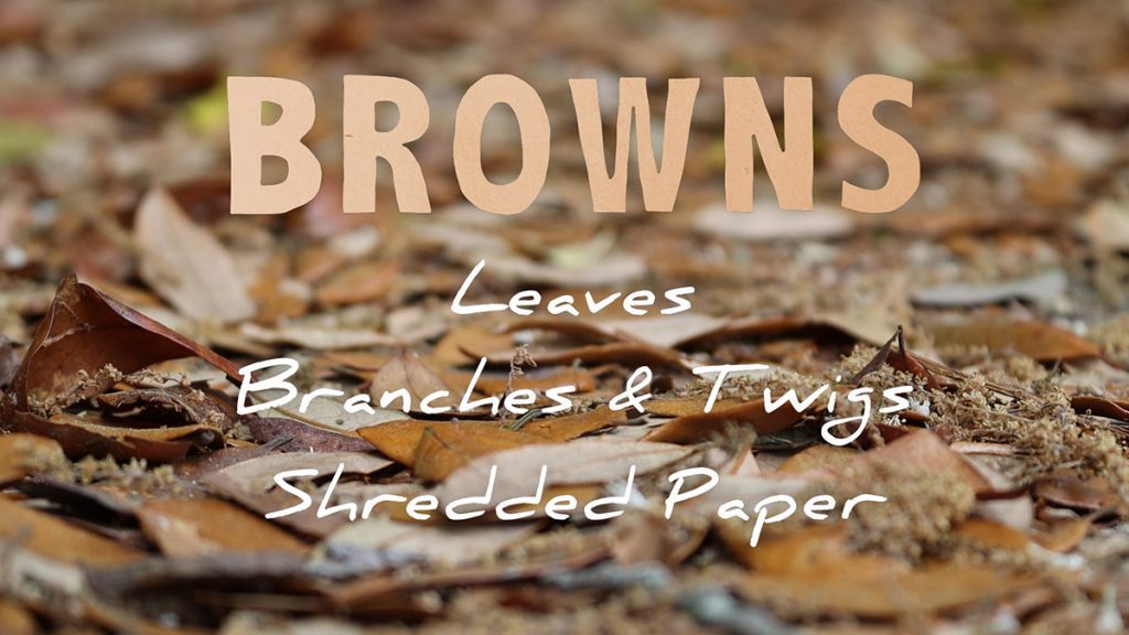 A list of browns (carbon sources) suitable for composting.